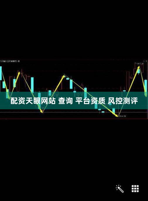 配资天眼网站 查询 平台资质 风控测评